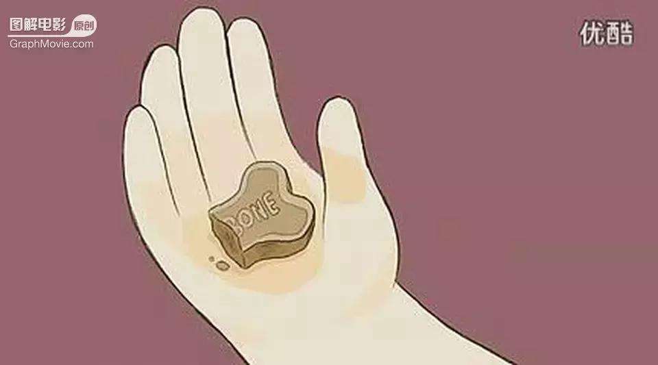 1分钟看完煎蛋饼养只狗狗来做饭狗版の田螺姑娘