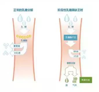 宝宝拉肚子一直不好该怎么办,宝宝拉肚子一直不好怎么办