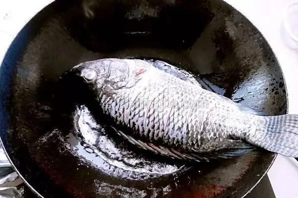 炖鱼要用什么水最好吃窍门,炖鱼的正确方法不用啤酒炖