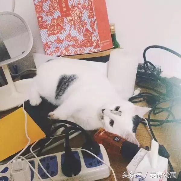 单身独居女生租房布置,独居租房布置