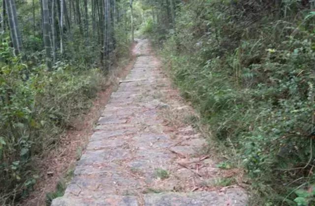 仙人洞里面的洞天,走进钟乳石洞在哪里