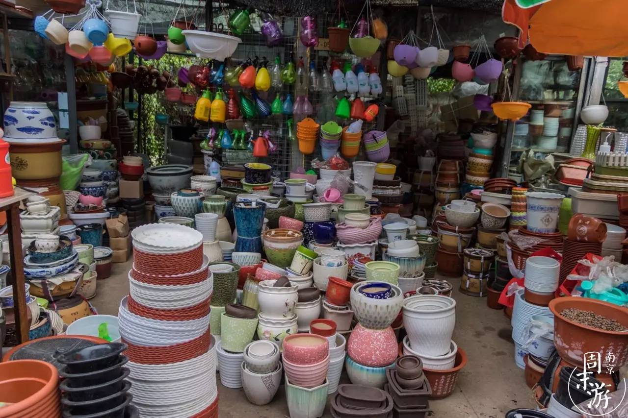 南京花鸟鱼虫市场,南京最大的花鸟虫市场