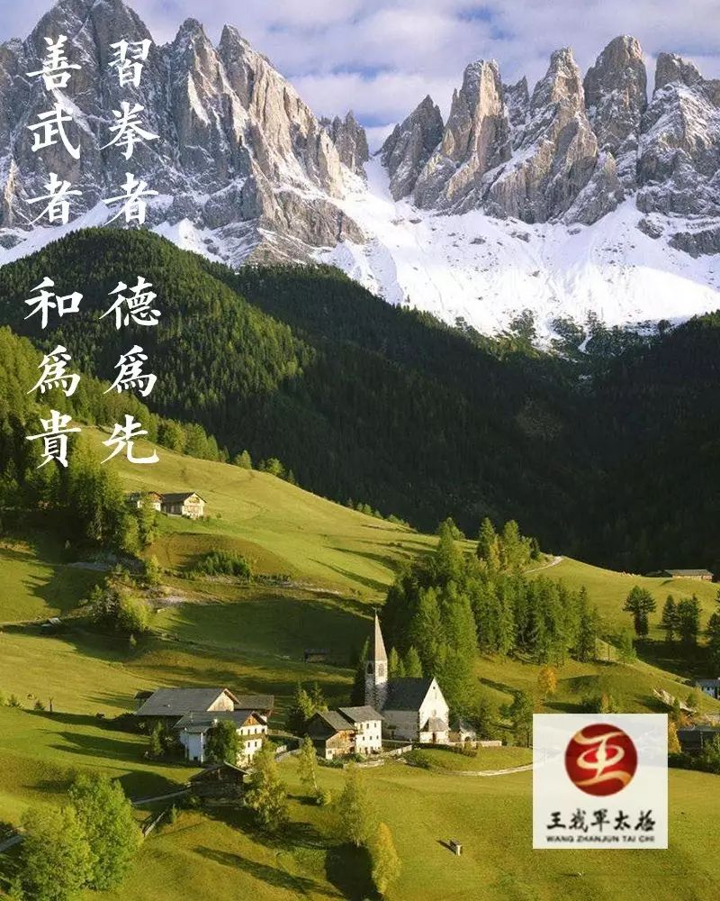 五虎上将的武功,太极拳武功高手