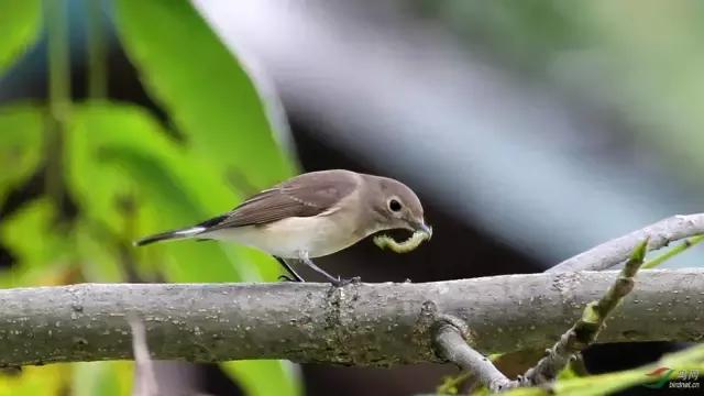 吃一顿有品位的早餐,如何高逼格说自己吃早饭