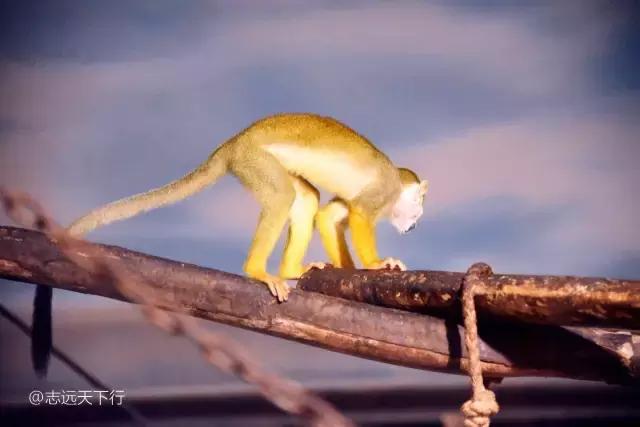 最美的女童海南,最美的小女生去游乐场玩