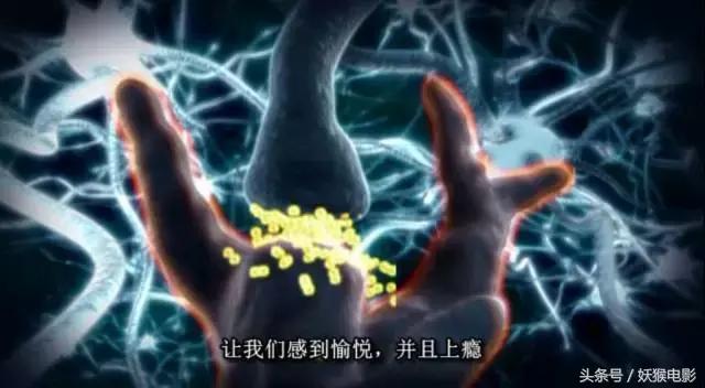 最震撼的纪录片bbc人体的奥秘,人体科普纪录片top10