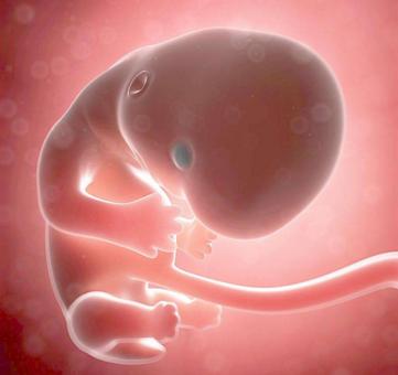 妊娠病毒性肝炎对胎儿的影响,孕期感染乙肝又自愈了