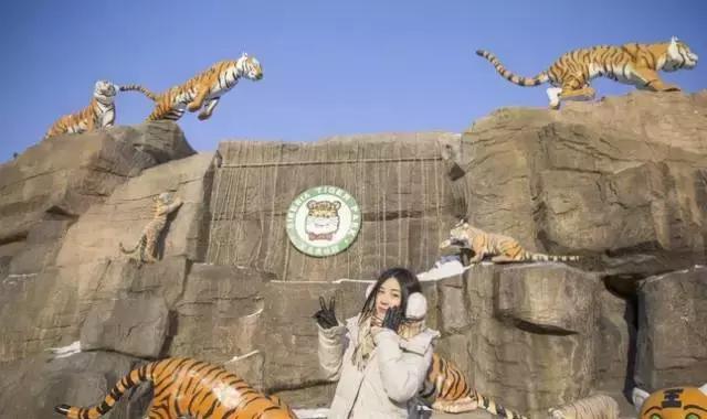 初冬掠影,哈尔滨的冬日魅力