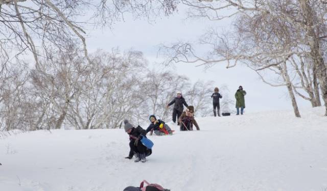 初冬掠影,哈尔滨的冬日魅力