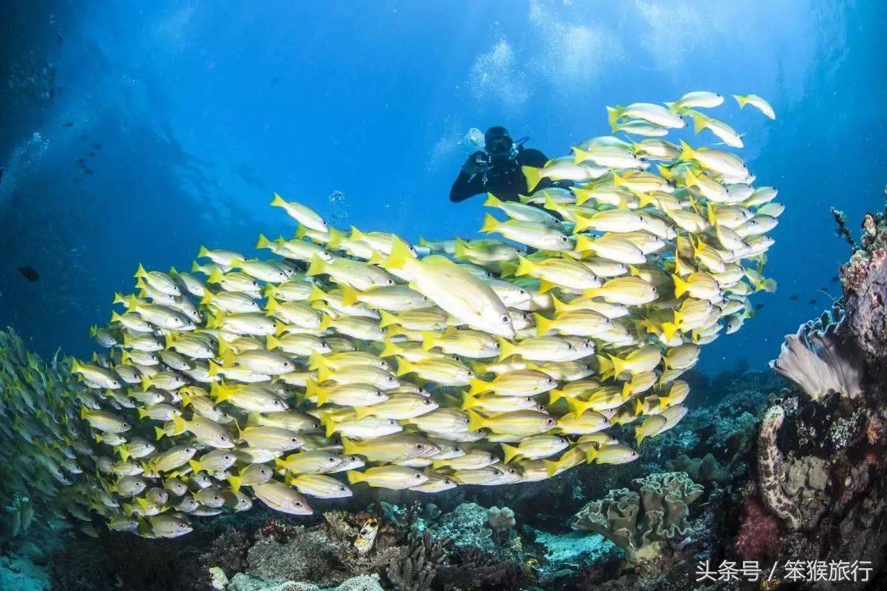 东南亚最适合潜水的海岛,6个绝美免签海岛