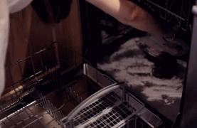 小苏打养花妙用可以用于多肉吗,免洗消毒液可以养花吗