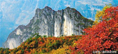 重庆主城区哪里可以看红叶,重庆看红叶哪个景点更好玩