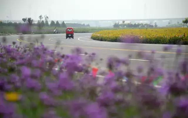 女白领醉酒后回家,28岁女孩深夜醉酒