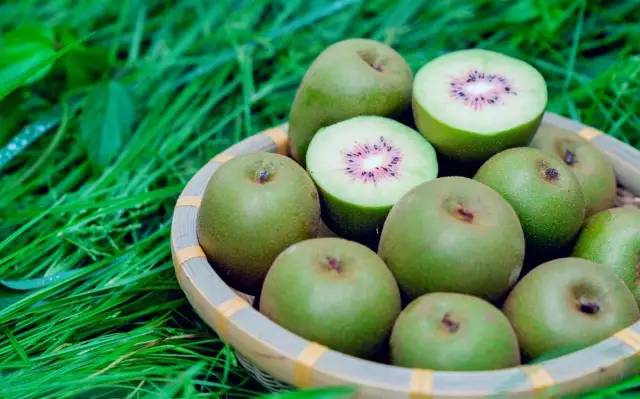 因为一句话恋上一座城,因为一个人恋上一座城