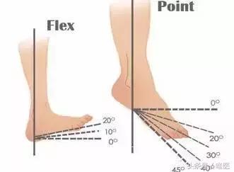 小腿突然粗了是什么症状,小腿突然肿胀特别粗怎么回事