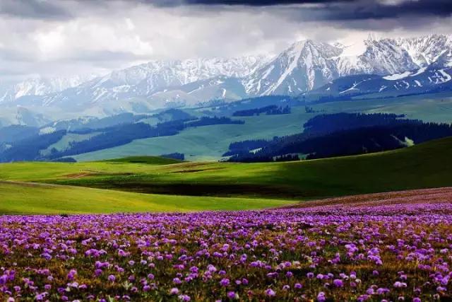 张家口之夜景色真的很美,从来没有见过的张家口美景