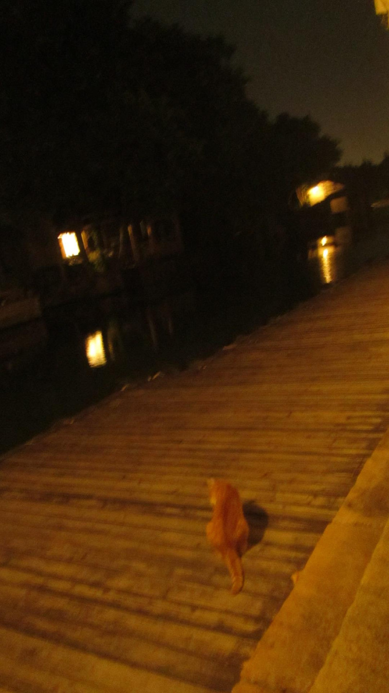 苏州西塘乌镇二日游团从杭州出发,苏州西塘乌镇二日一夜