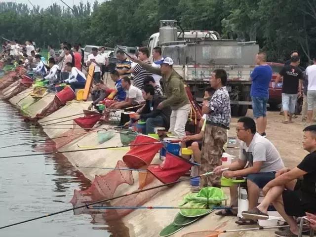 行营钓鱼比赛现场直播,行营钓鱼节