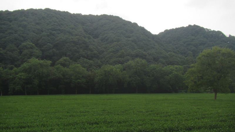 苏州西塘乌镇二日游团从杭州出发,苏州西塘乌镇二日一夜