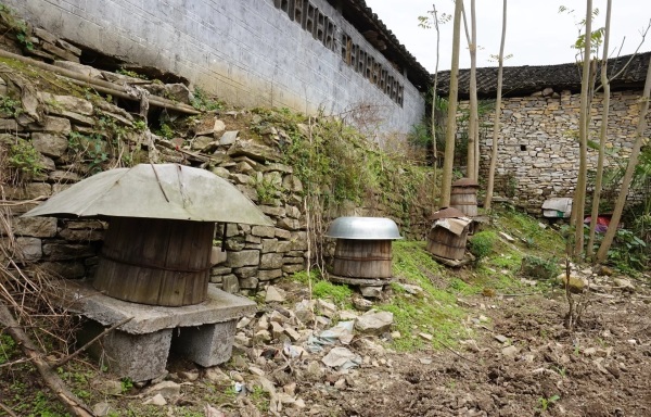 怎么选蜂蜜才能买到真蜂蜜,怎么买才能买到纯正蜂蜜