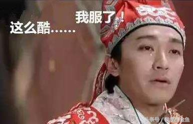 故事连载:一个女人的江湖(二十九、周密的计划)