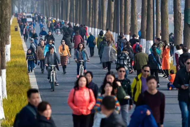 武汉城市观察,省会城市武汉