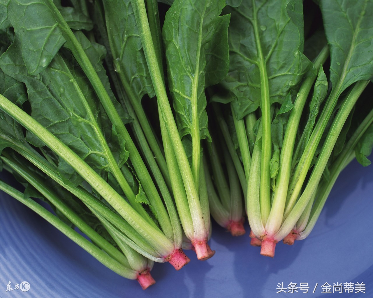 女性怕冷的原因和解决方法,女性怕冷最好的解决方法