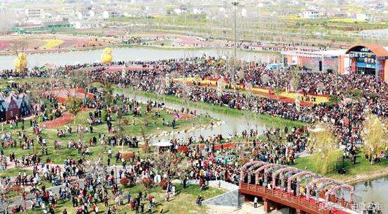 石金钱龟的现状,石金钱龟为何会跌落神坛