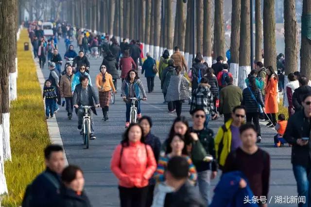 武汉如何复兴,武汉如何抗日