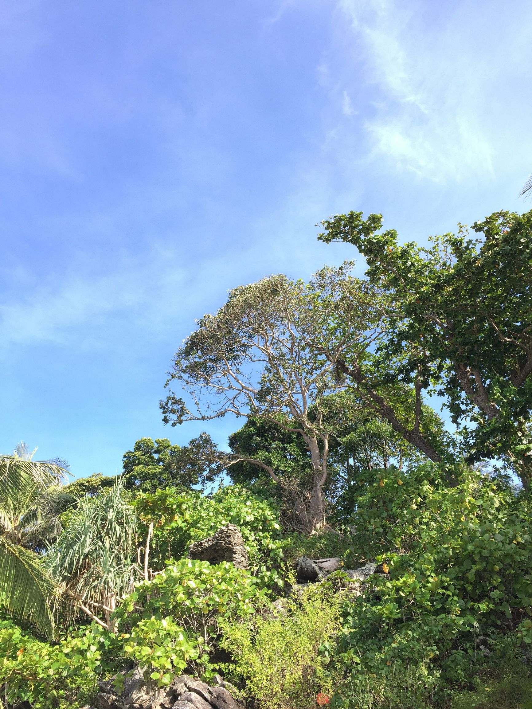十一月份普吉岛,十一假期去泰国