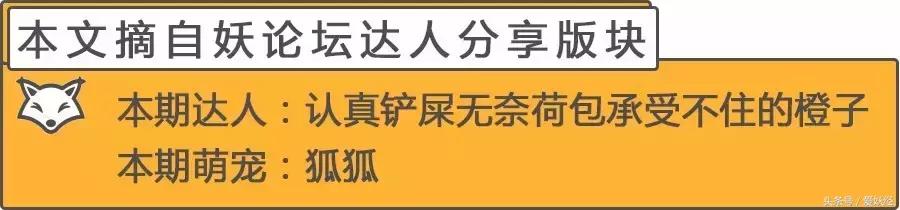 对猫咪真正有用的化毛产品,爱妖经
