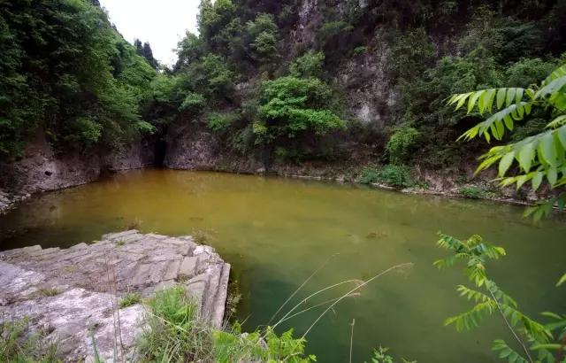 渠县好吃的,渠县饮食