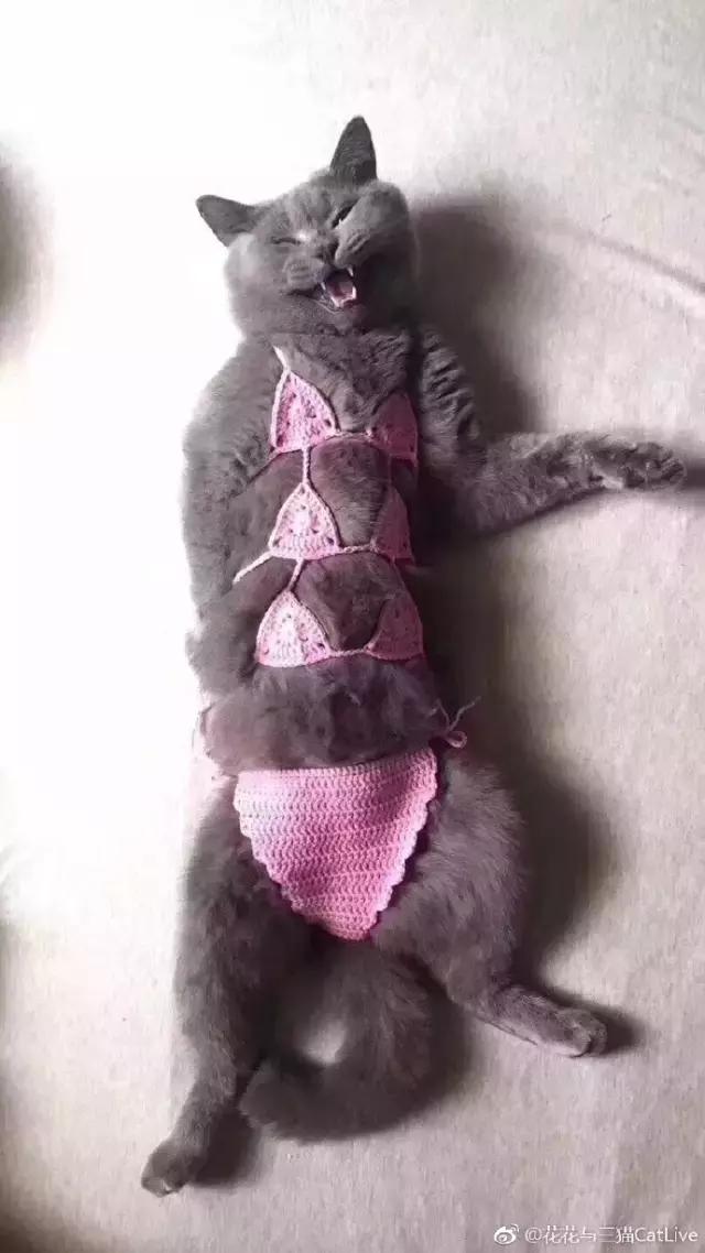 突然发现自己也有软肋,别轻易透露自己的软肋