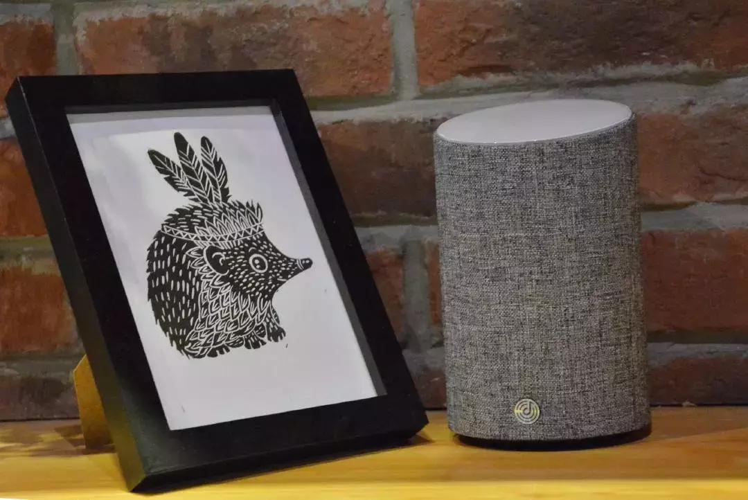 首发丨把PGOne“买”回家给我唱歌——叮咚2代测评