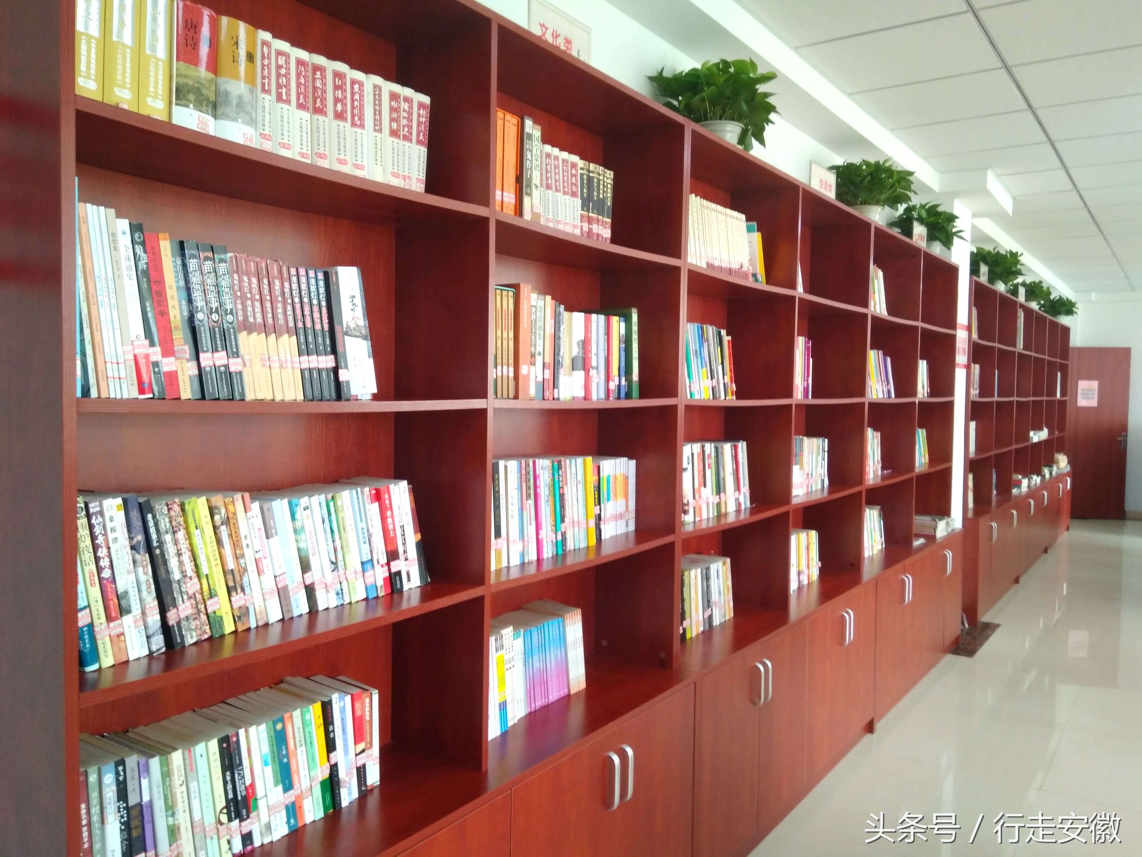 鍚堣偉甯傚寘娌冲尯鐑熷ⅸ琛楅亾婊ㄦ箹娆e洯,鍚堣偉鐑熷ⅸ琛楅亾婊ㄦ箹娆e洯绀惧尯鐢佃瘽