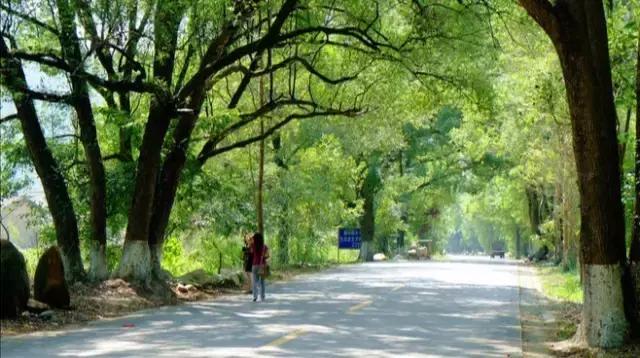 岭南九寨沟旅游攻略,广东自驾游去九寨沟攻略