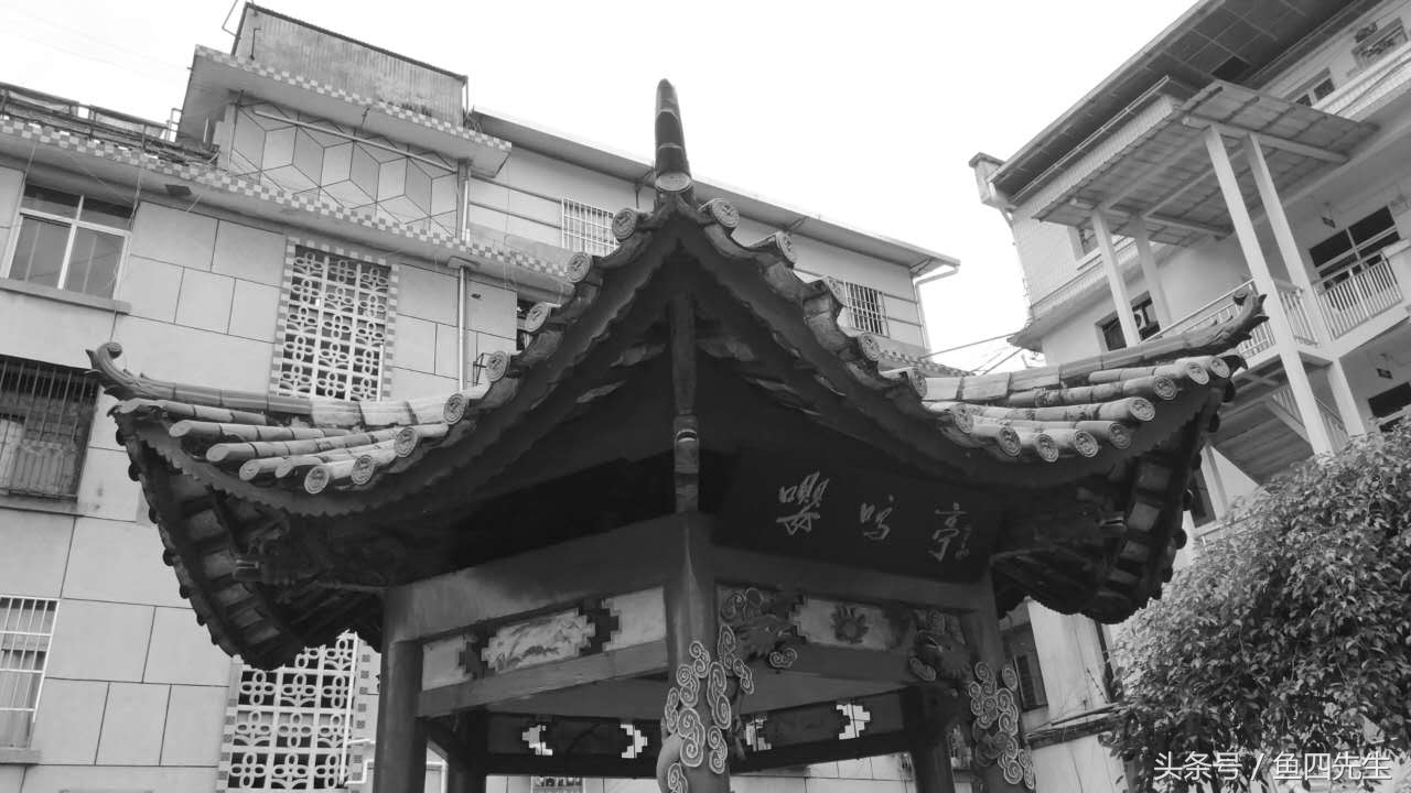 鐟炰附鍙嬭皧鏃呯ぞ,鐟炰附鍙嬭皧瀹鹃