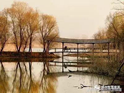 扬州农家乐游玩攻略,扬州十大最美农家乐