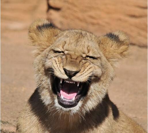 你可以放心海淘剁手了!以后进口商品都会有质量与安全“身份证”