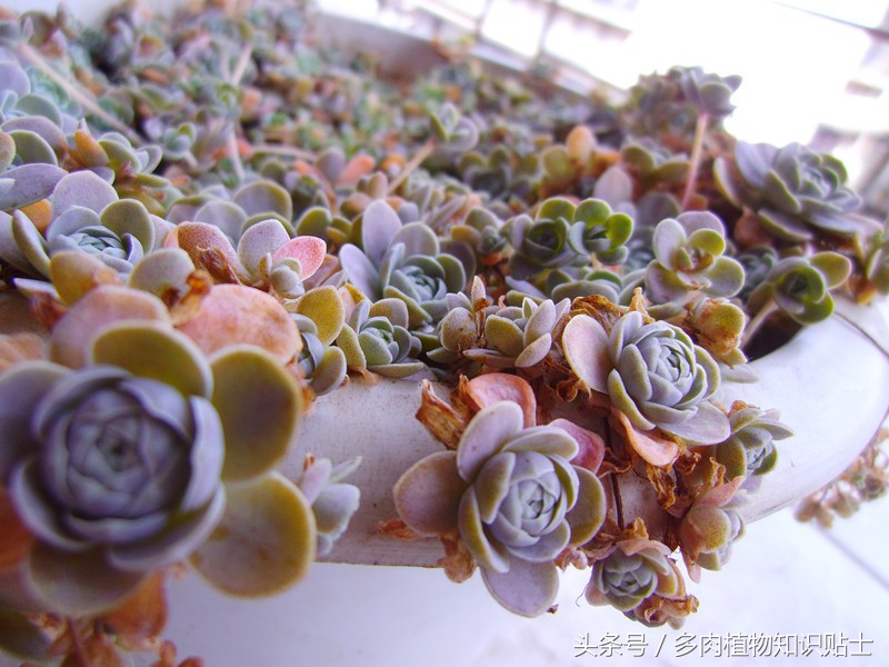 数不尽的岁月,数不尽的岁月的沉淀