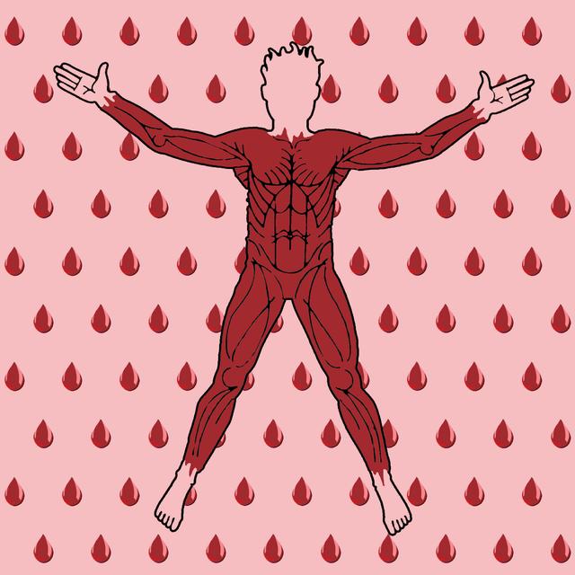 权力的游戏各大家族族徽及其族语,权力的游戏家族族徽和族语