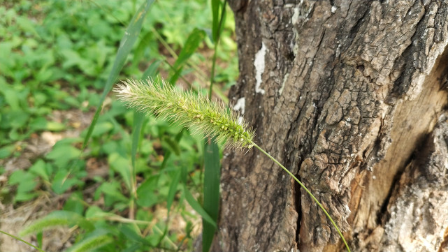 18比9全面屏手机排名,小米mix2全面屏