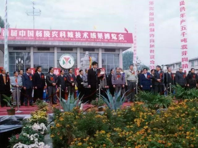 杨凌和杨陵什么关系,杨凌高凤香老师