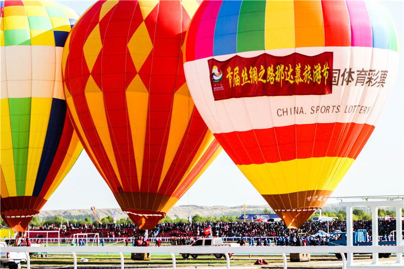 肃北七彩花海,肃北百亩花海在哪里