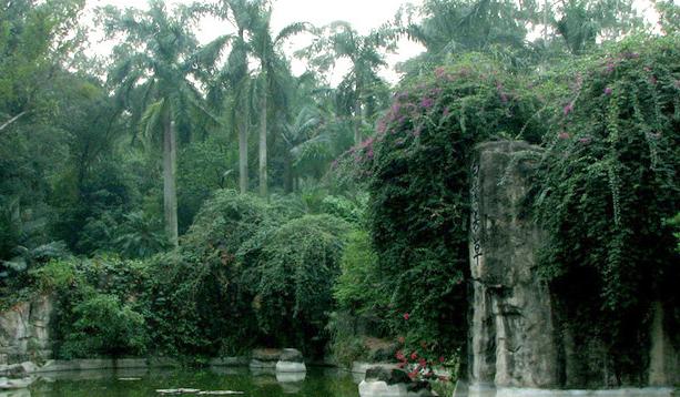 欢迎大家来广州白云山,广州白云山欢迎你