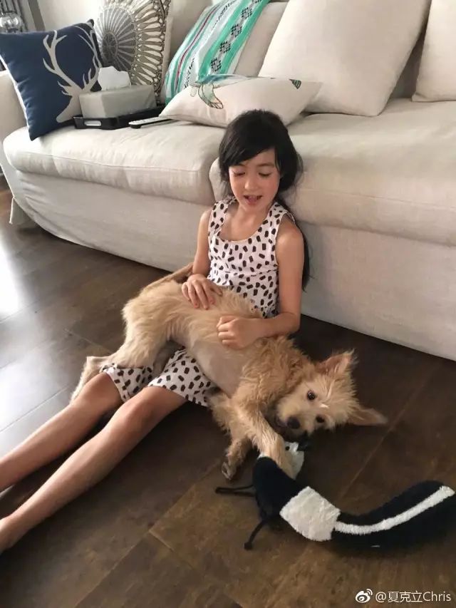 爸爸去哪儿5长大后的萌娃,天降萌宝爸爸去哪儿1-56集免费