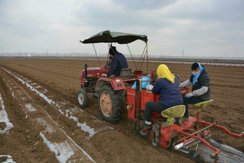 山东清田地膜,清田地膜