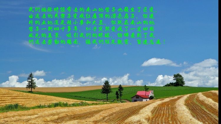 上海今生注定与你有缘