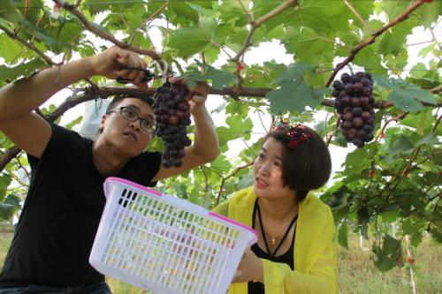 村官升为副镇长几率,大学生村官成为公务员必须考试吗