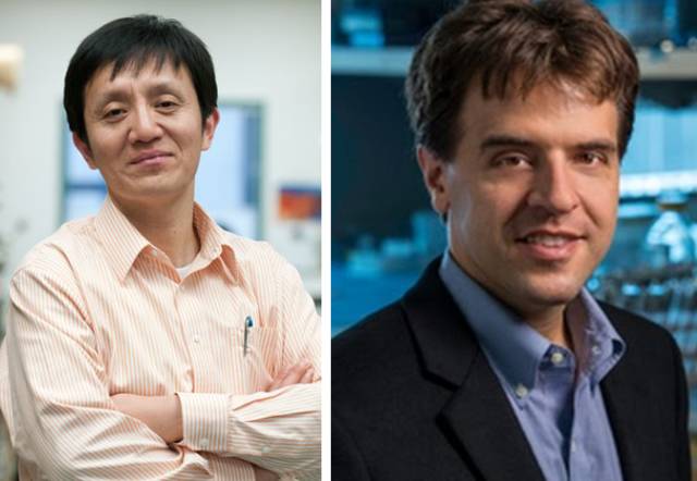 渴、渴、渴，口渴的神经基础被发现｜前沿